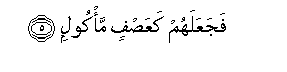 arabic