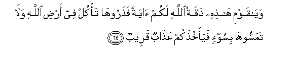 arabic