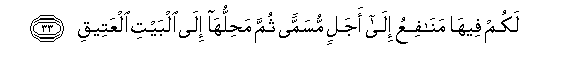arabic