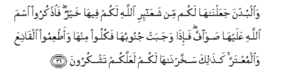 arabic