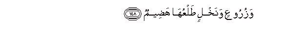 arabic