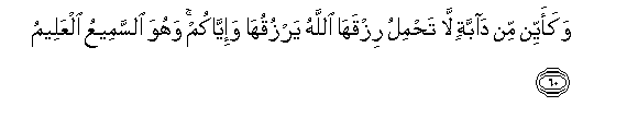 arabic