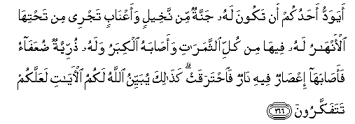 arabic