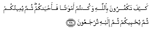 arabic