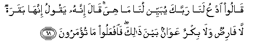 arabic