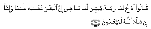 arabic