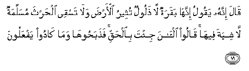arabic