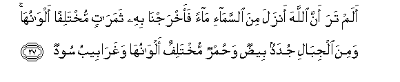 arabic