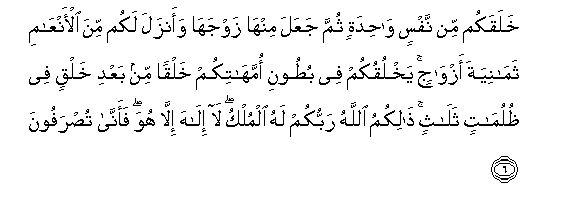arabic
