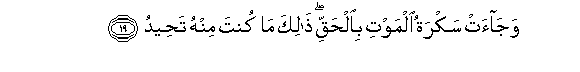 arabic