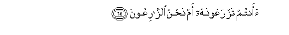 arabic