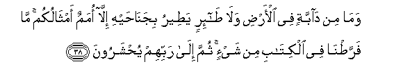 arabic