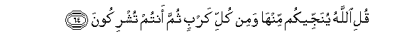 arabic