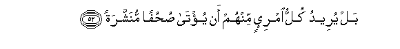 arabic