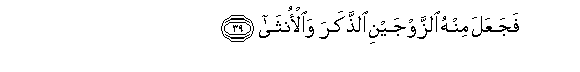 arabic