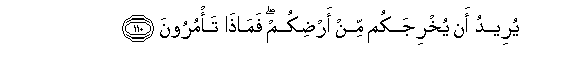 arabic