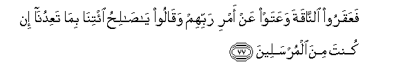 arabic