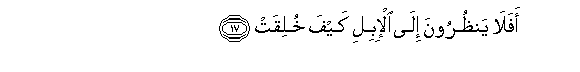 arabic